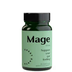Great Earth Mage 30 caps