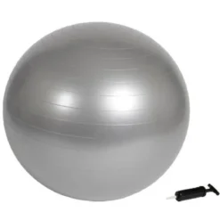 Virtufit Gym Ball + Pump 65 cm